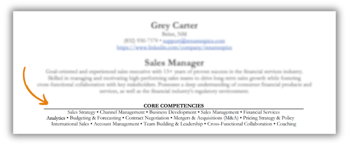 How to Write a Sales Resume (24) - Resumespice Displaying Your Core Competencies on Your Sales Resume