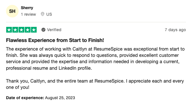 Resumespice Online Resume Writing Review