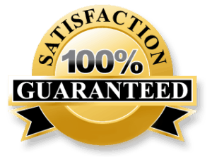 Resumespice Resume Satisfaction Guarantee