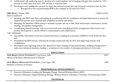 Sales Manager Resume Example